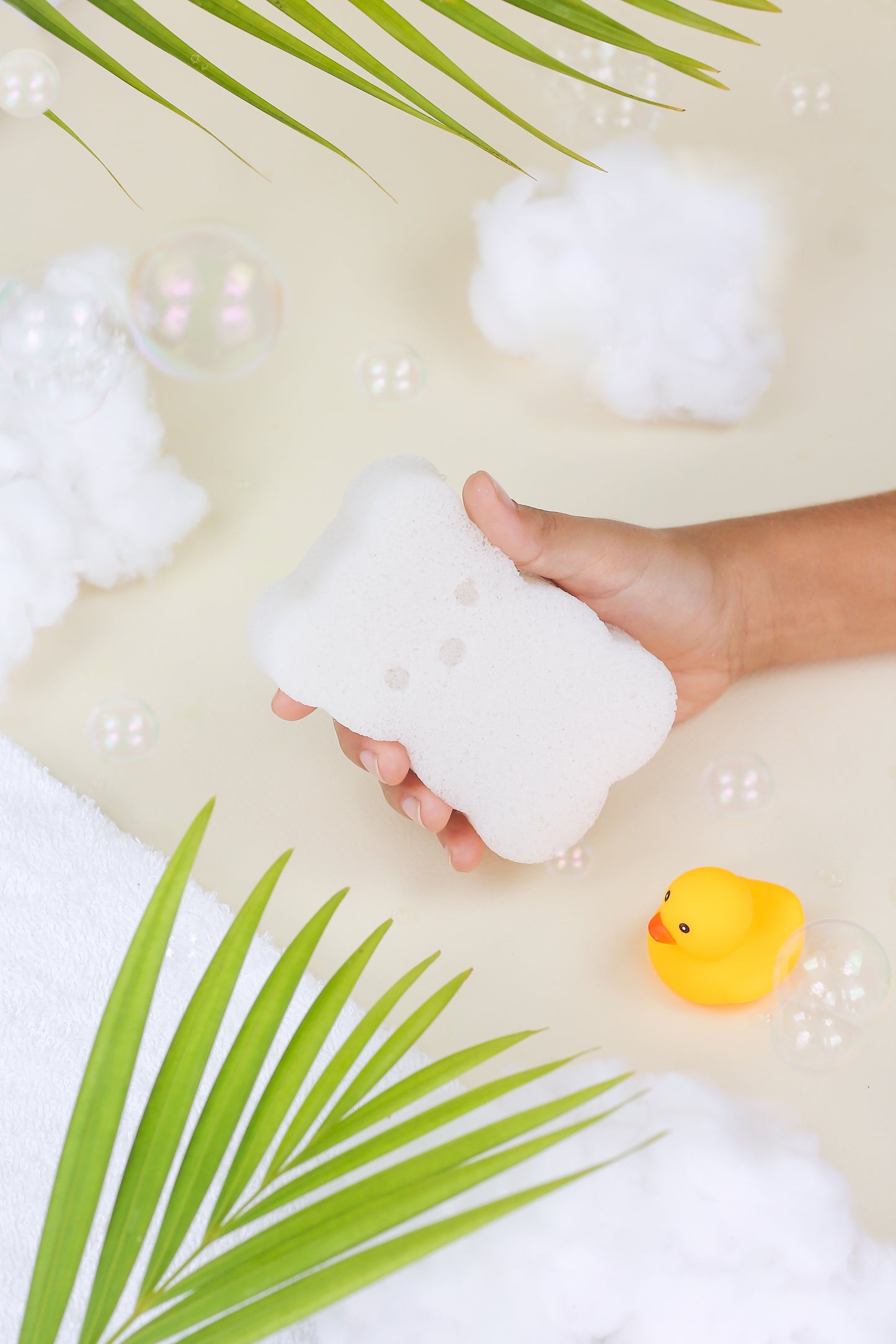 Baby Bear Konjac Sponge